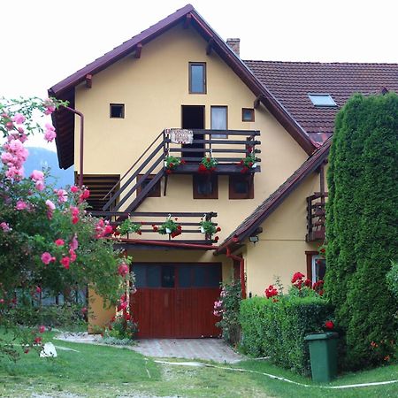 Pensiunea Dealul Frumos Bran (Brasov) Exterior foto
