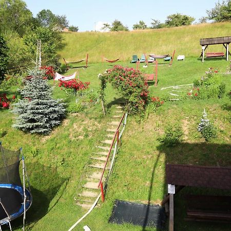 Pensiunea Dealul Frumos Bran (Brasov) Exterior foto