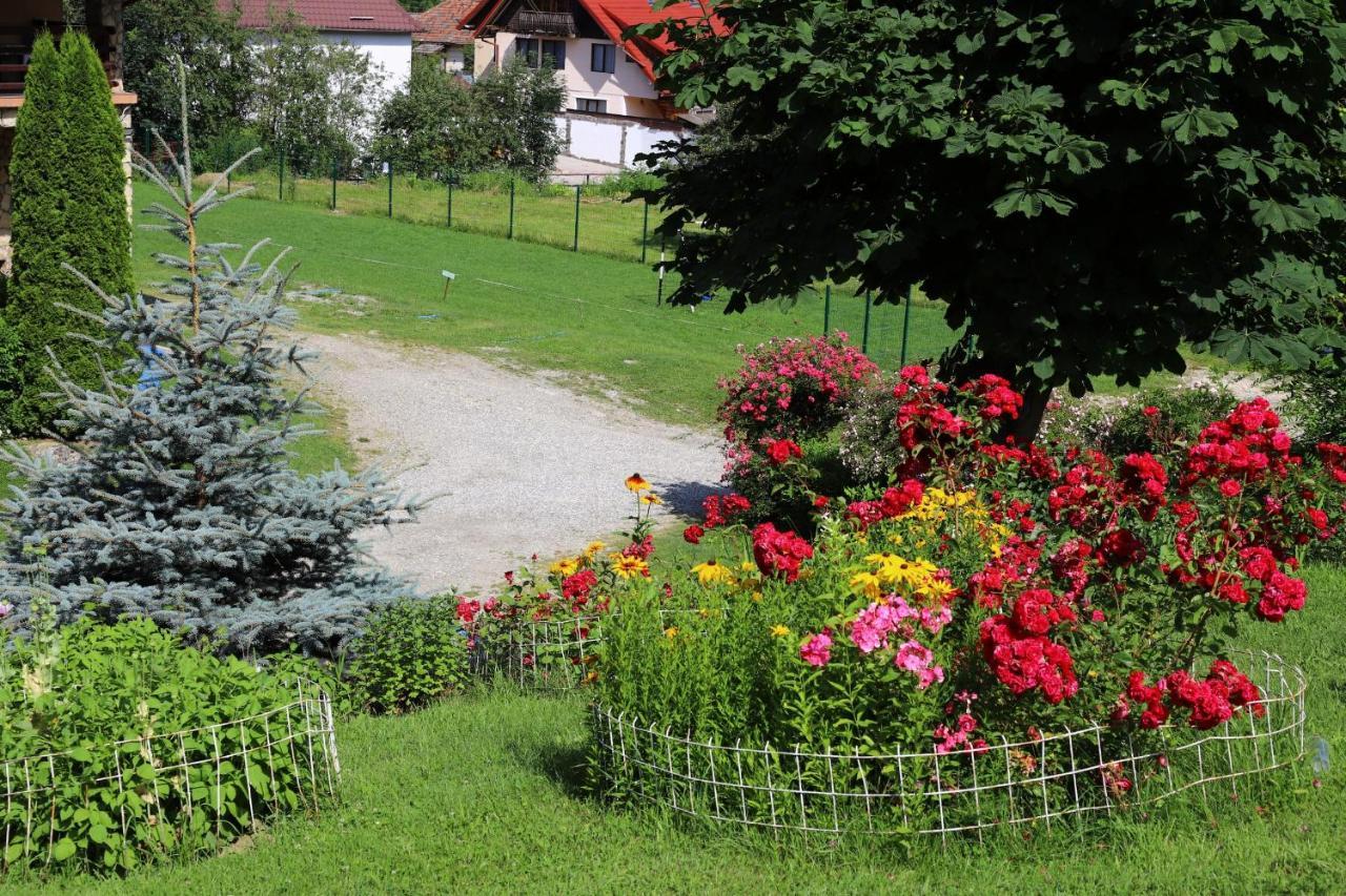 Pensiunea Dealul Frumos Bran (Brasov) Exterior foto