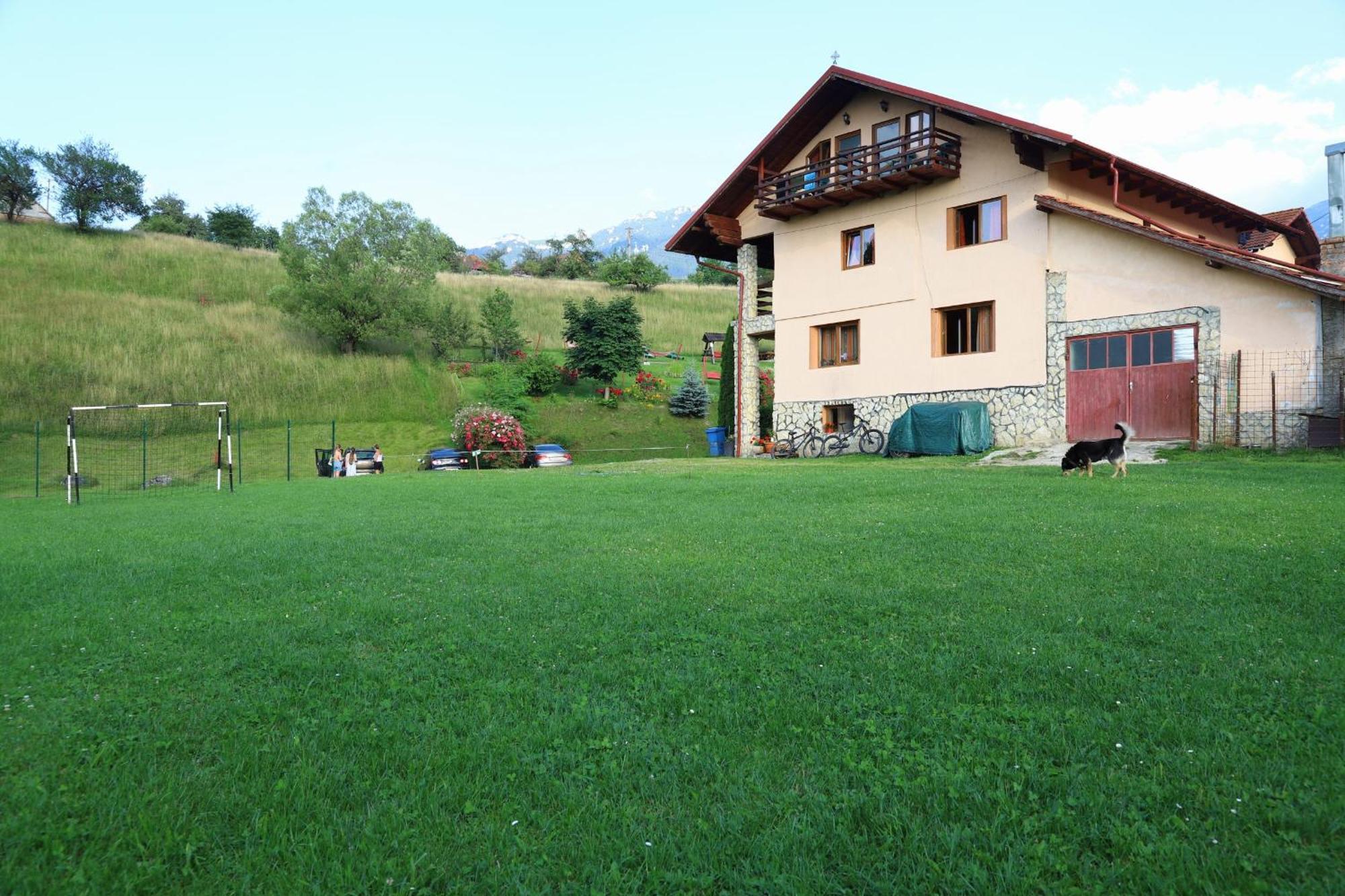 Pensiunea Dealul Frumos Bran (Brasov) Exterior foto