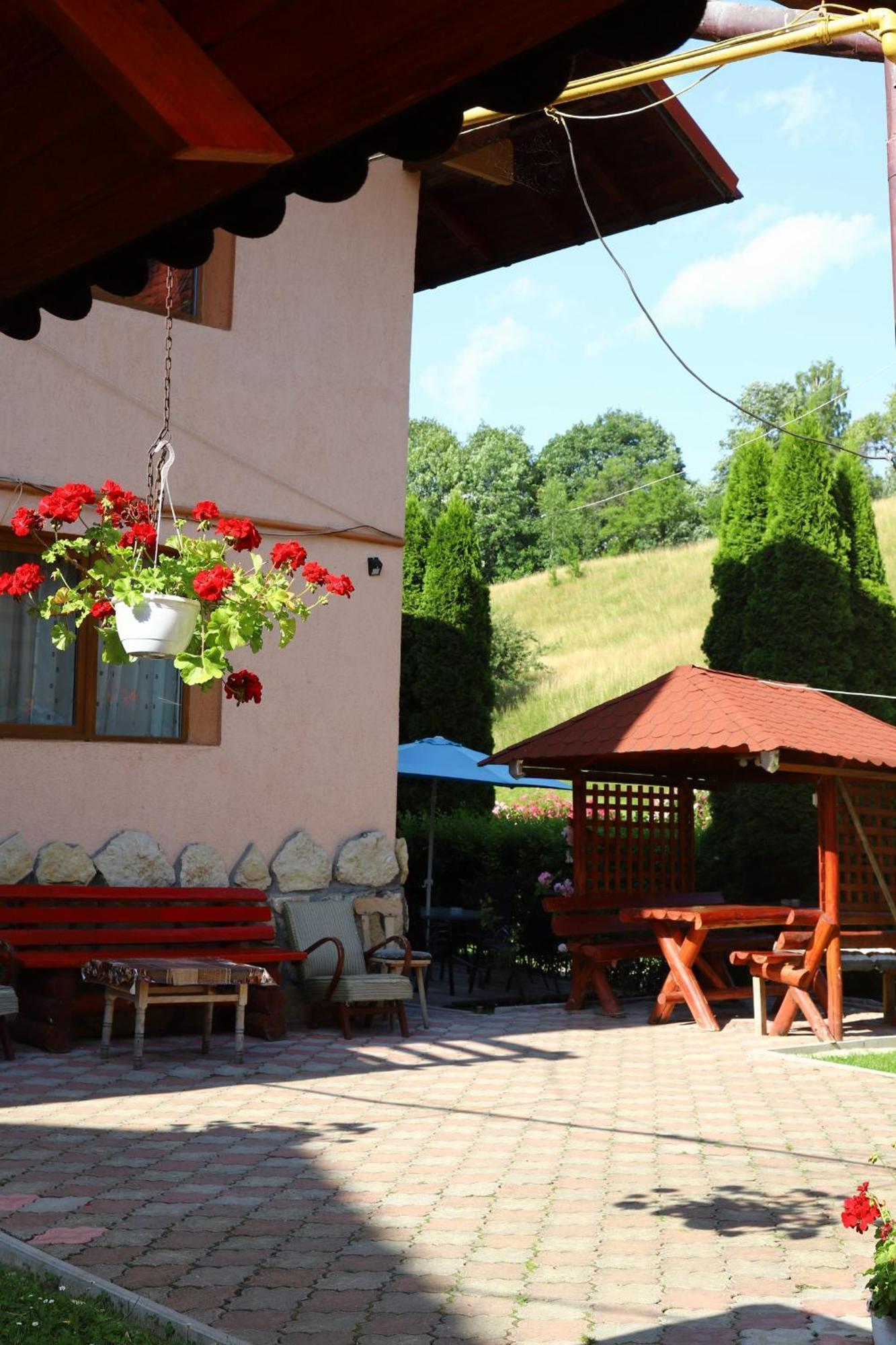 Pensiunea Dealul Frumos Bran (Brasov) Exterior foto