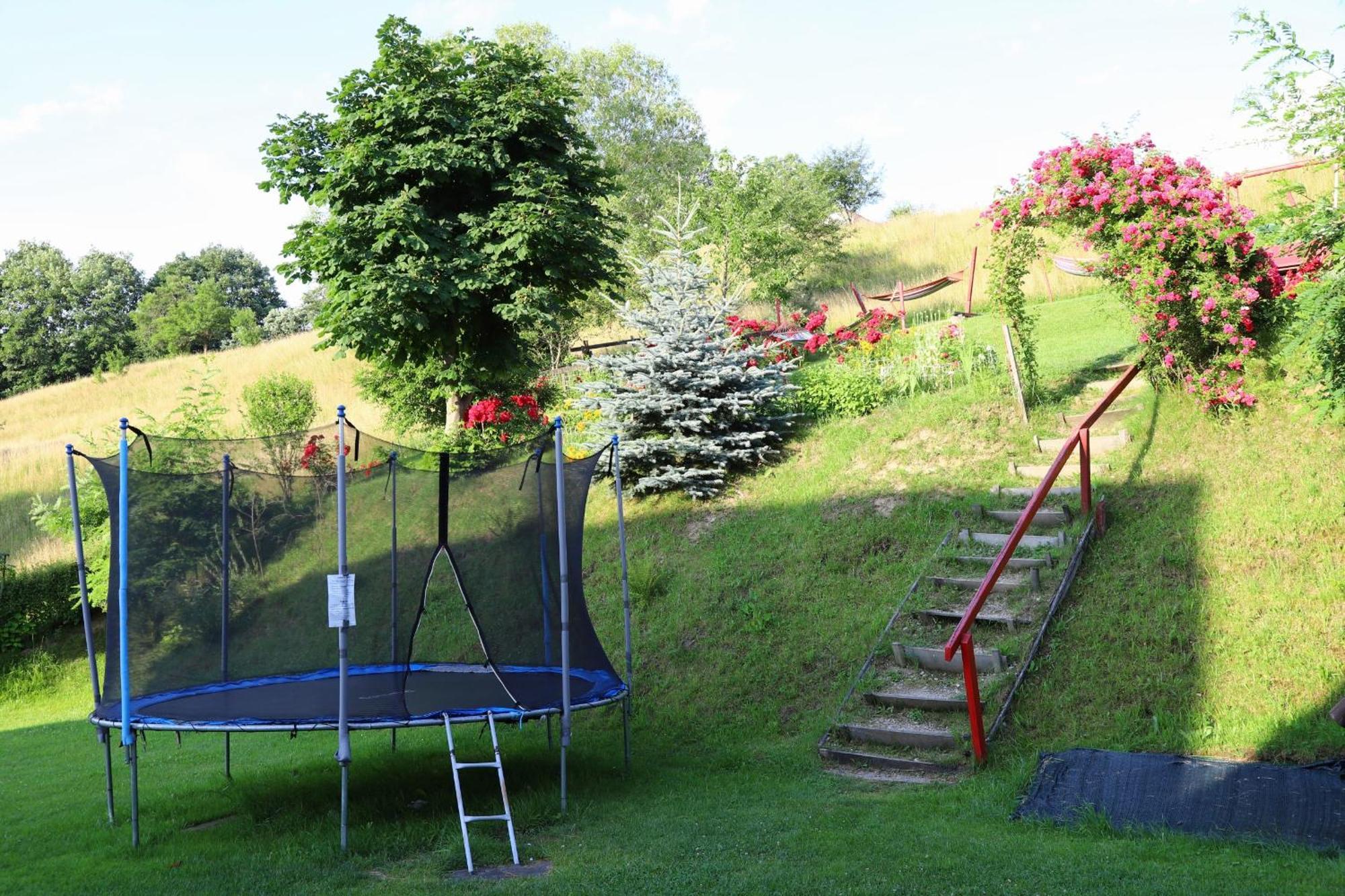 Pensiunea Dealul Frumos Bran (Brasov) Exterior foto