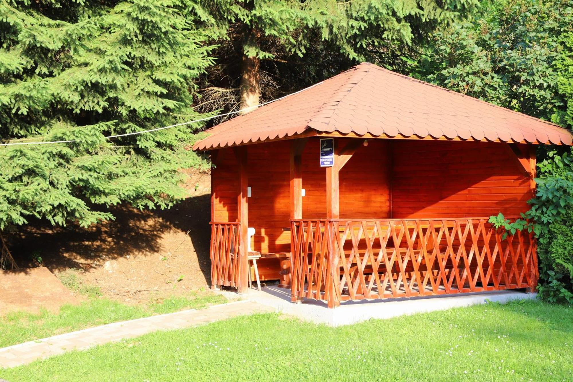 Pensiunea Dealul Frumos Bran (Brasov) Exterior foto