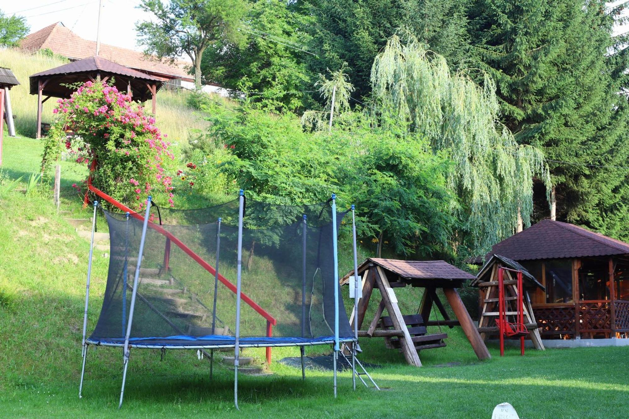 Pensiunea Dealul Frumos Bran (Brasov) Exterior foto