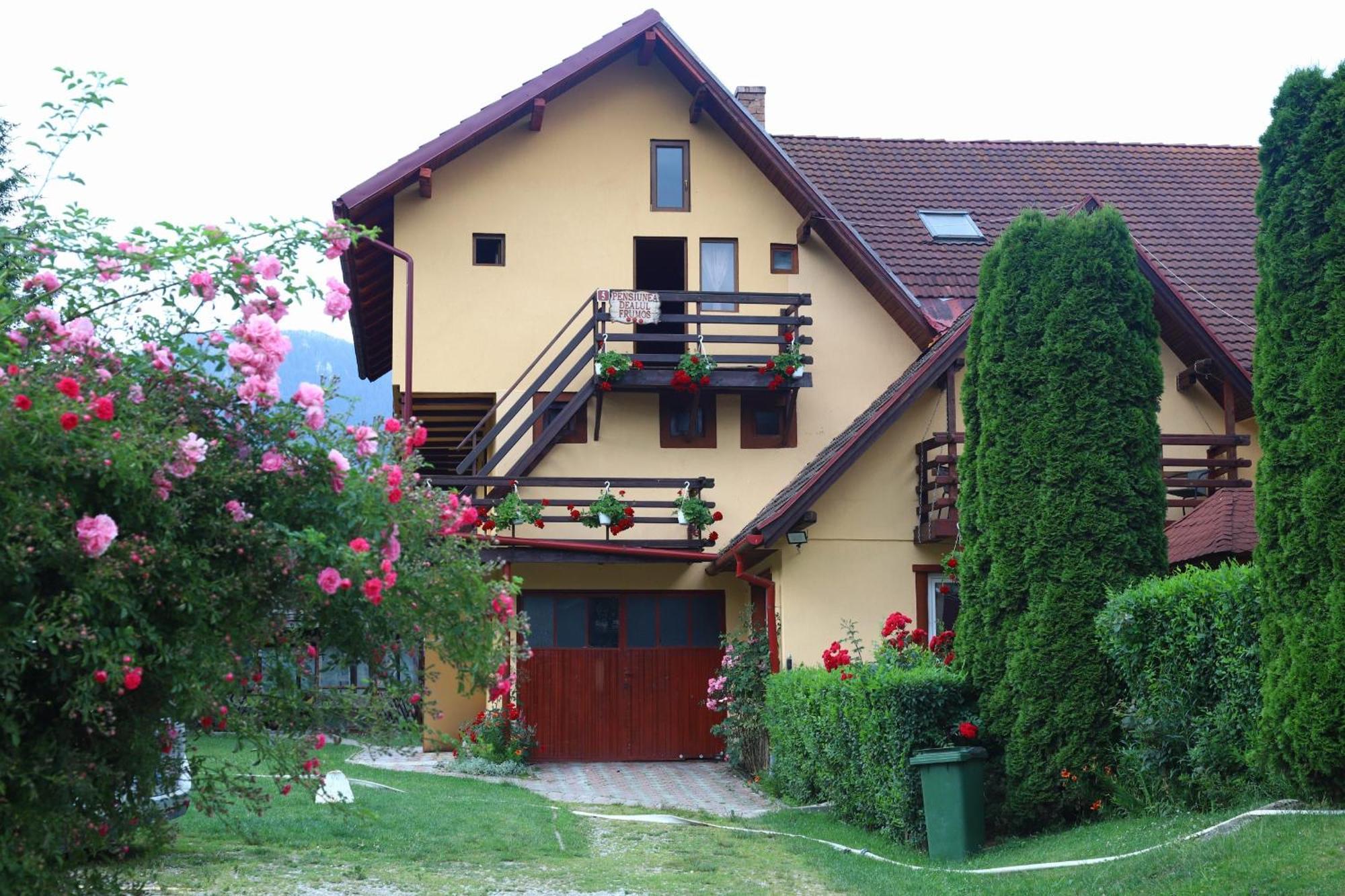 Pensiunea Dealul Frumos Bran (Brasov) Exterior foto