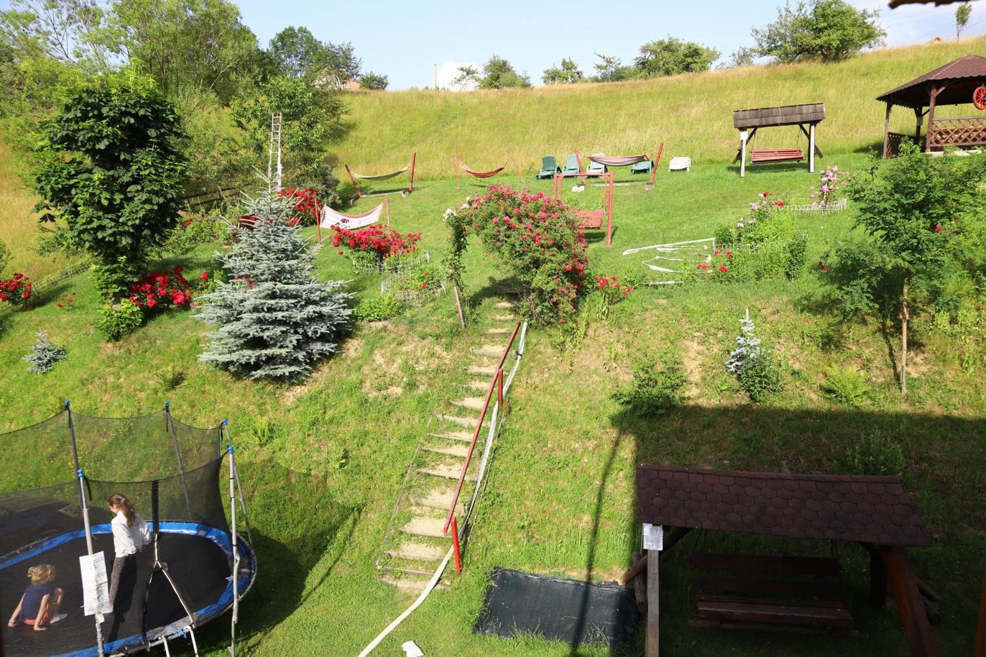 Pensiunea Dealul Frumos Bran (Brasov) Exterior foto