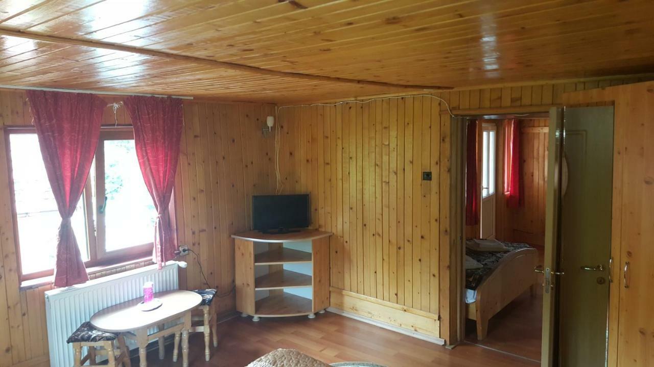 Pensiunea Dealul Frumos Bran (Brasov) Exterior foto