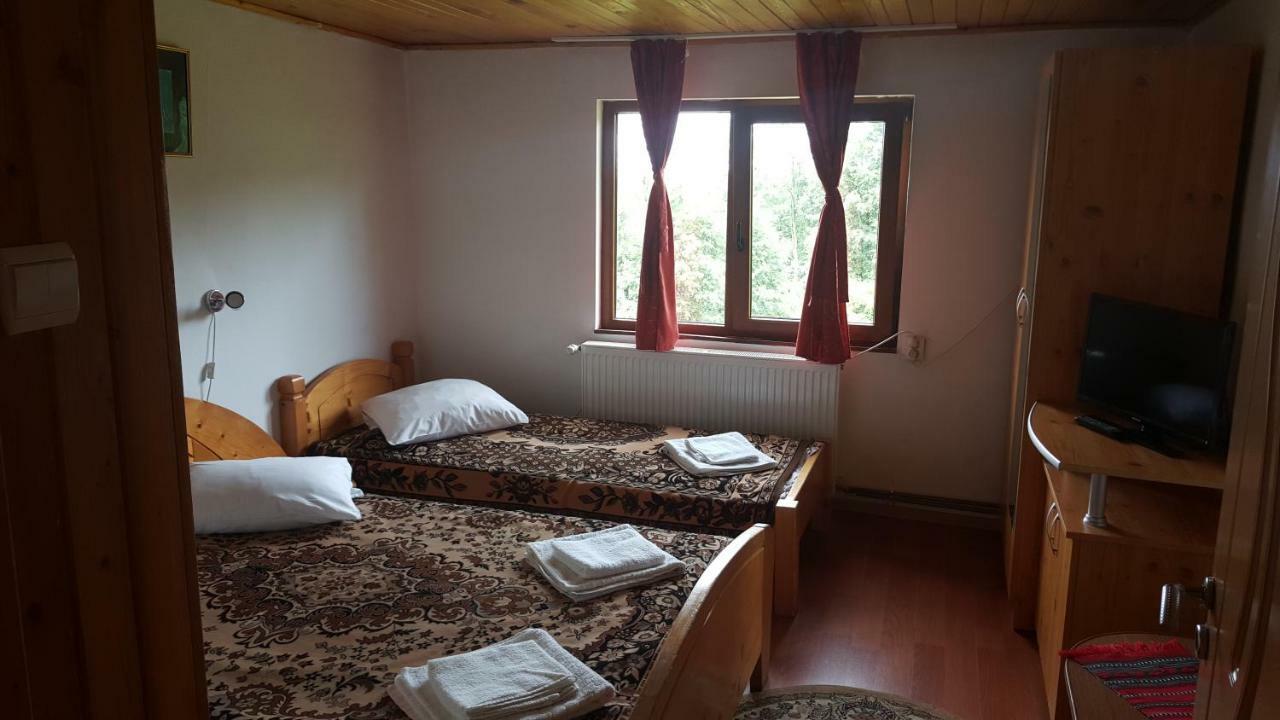 Pensiunea Dealul Frumos Bran (Brasov) Exterior foto