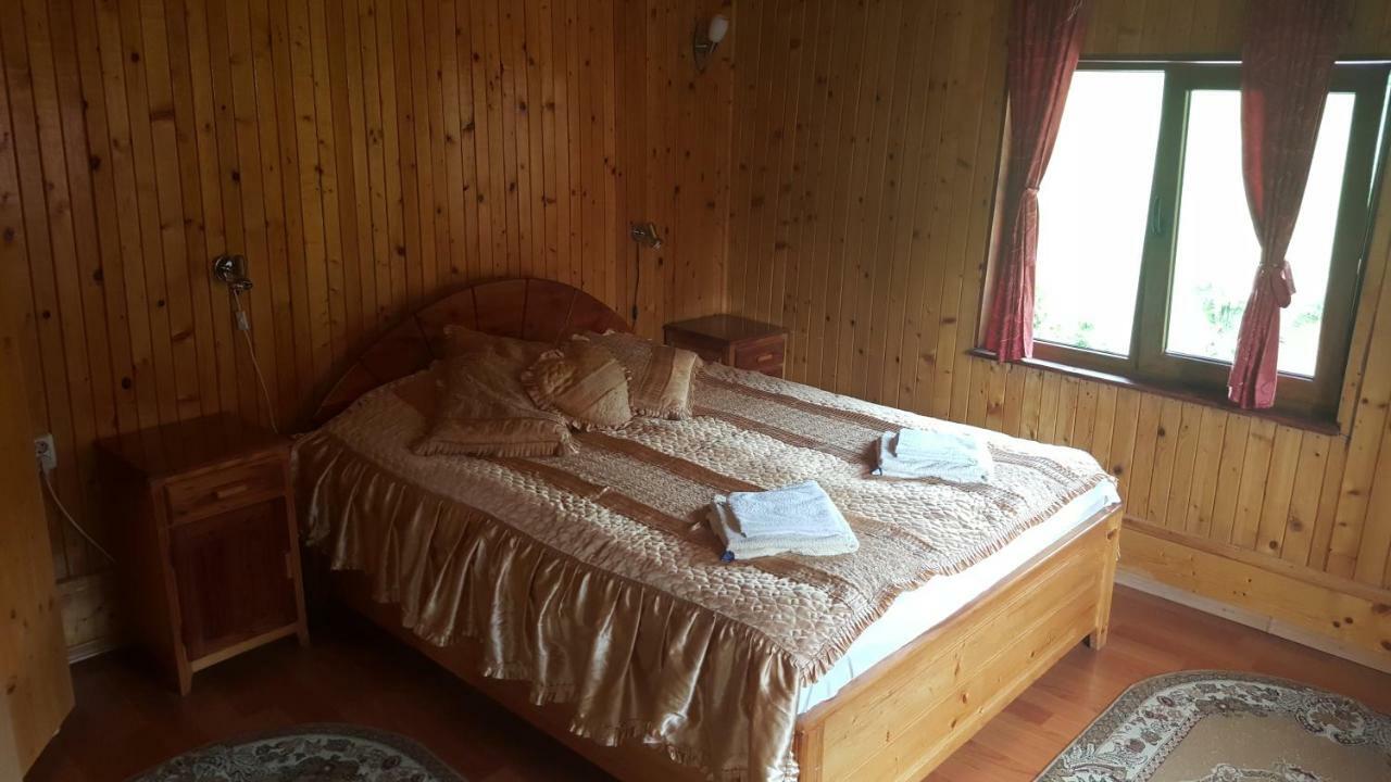 Pensiunea Dealul Frumos Bran (Brasov) Exterior foto