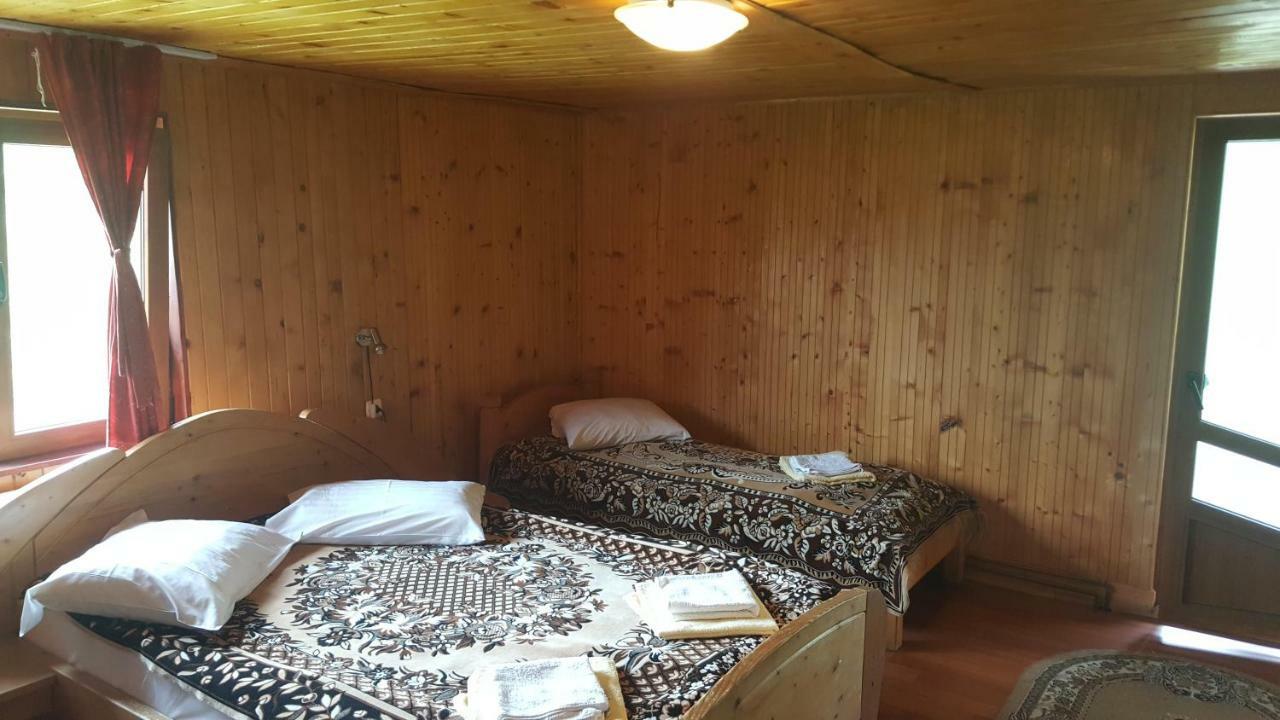 Pensiunea Dealul Frumos Bran (Brasov) Exterior foto